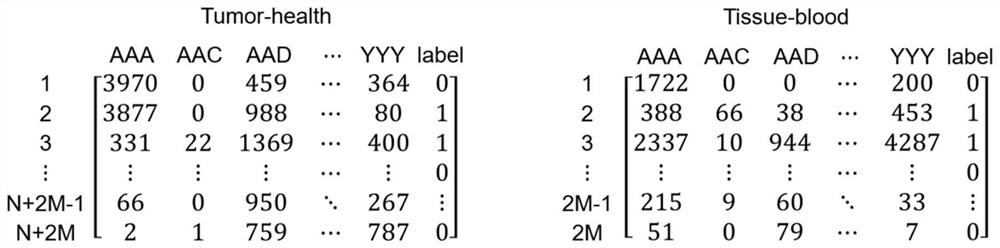 T cell receptor sequence motif combination recognition and detection method, storage medium and equipment