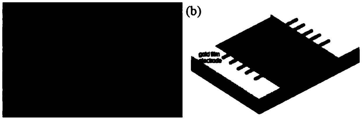 Preparation method of nanoparticle linear array resistor