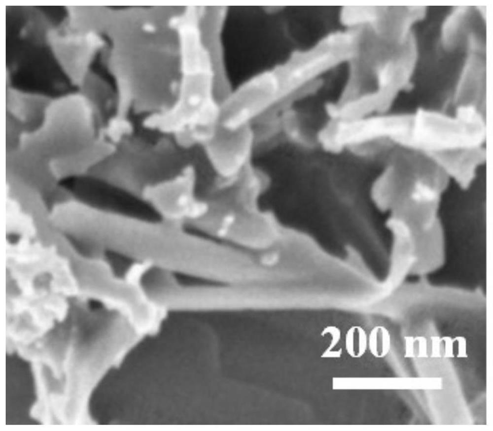 Transition metal-based hybrid material nanotube as well as preparation method and application thereof