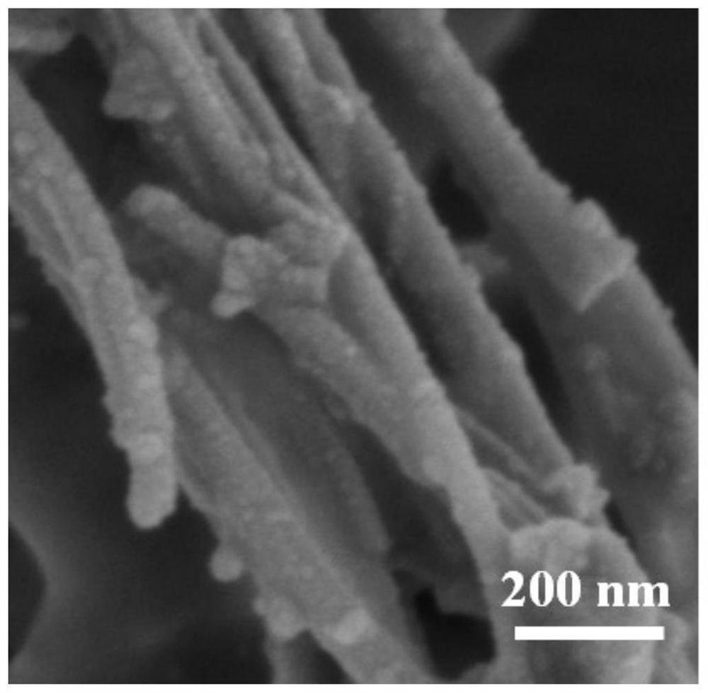 Transition metal-based hybrid material nanotube as well as preparation method and application thereof