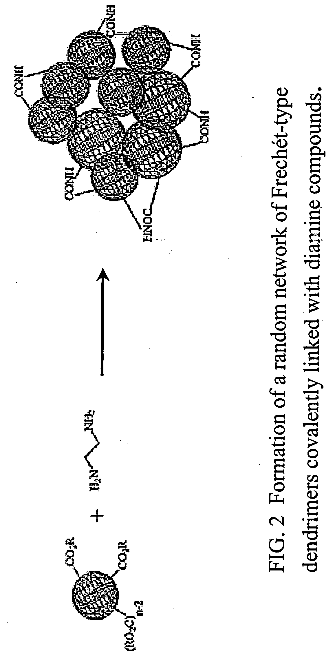 Proton conducting membrane for fuel cells