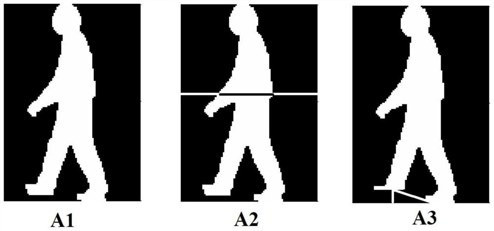Individual gait recognition method based on trinocular vision data