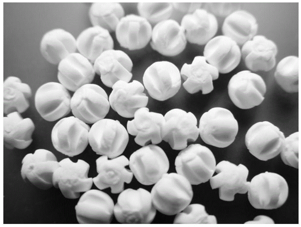 A kind of hydrogenation catalyst and its preparation method and the method of light oil hydrofinishing