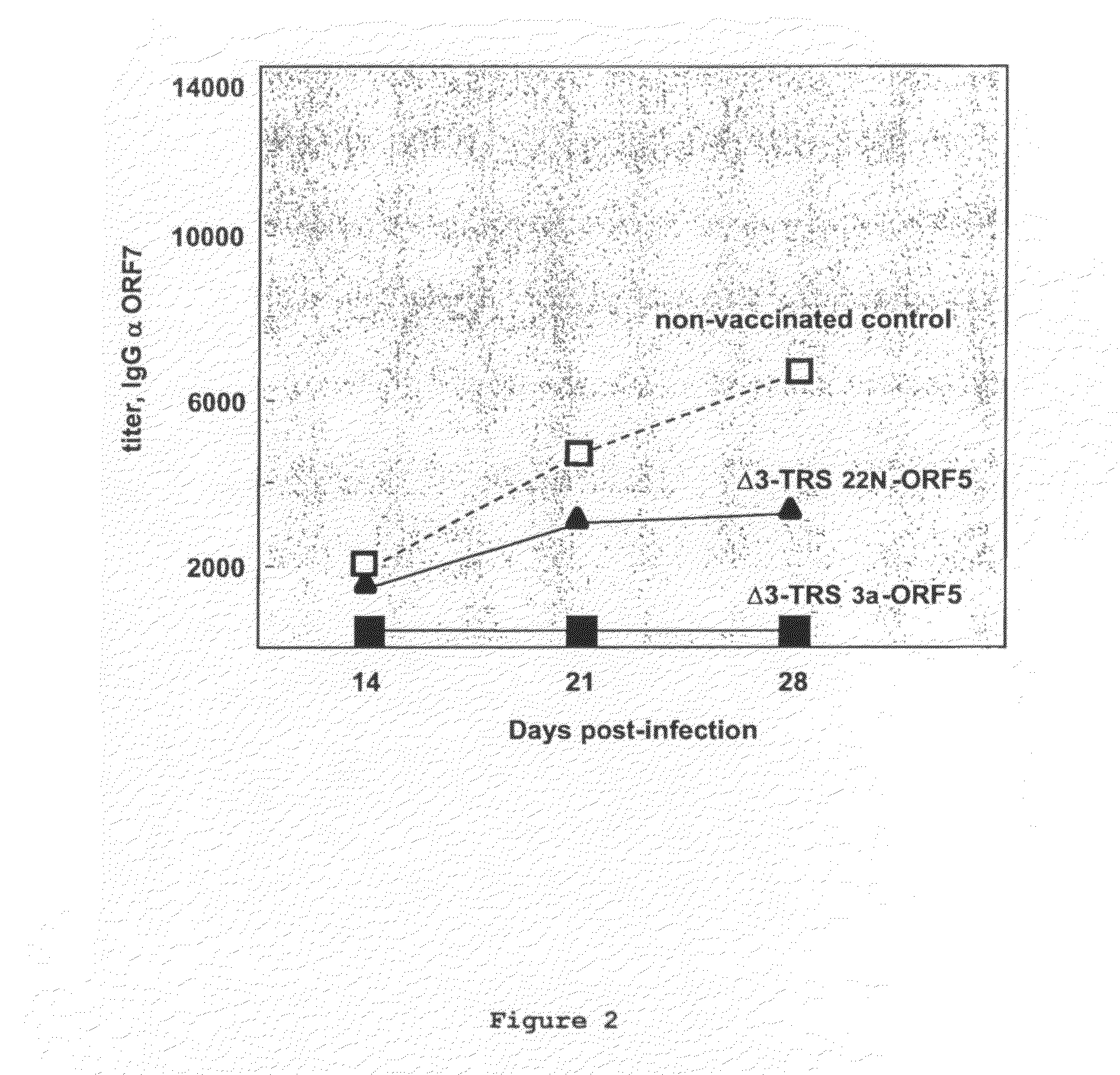 Nucleic Acid Encoding TGEV and PRRSV Sequences for Improved Expression of PRRSV Sequences