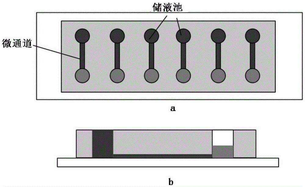 Simple micro-fluidic chip and cell analysis method