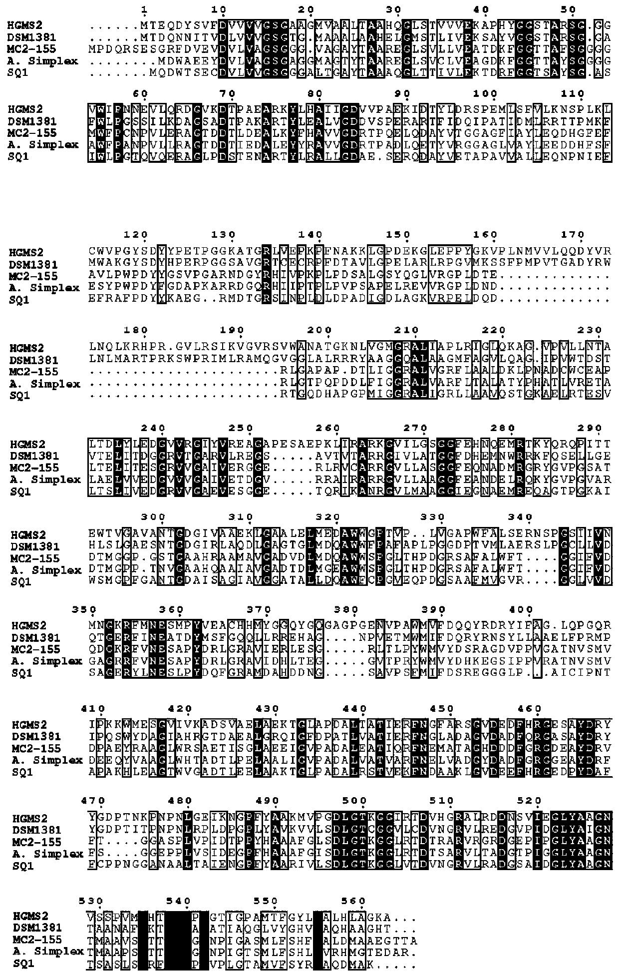 3-sterone-1, 2-dehydrogenase as well as gene sequence and application thereof