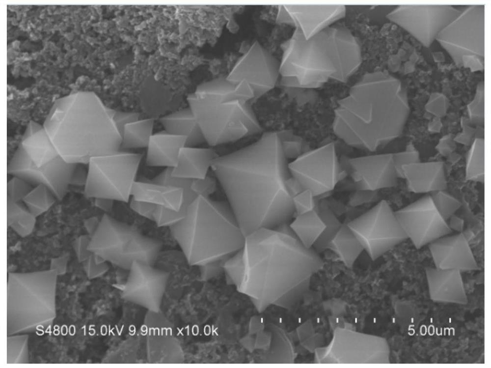 A method for on-site rapid detection of amoxicillin antibiotics in water