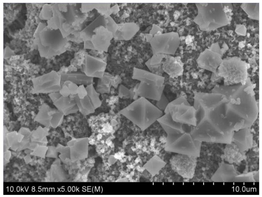 A method for on-site rapid detection of amoxicillin antibiotics in water