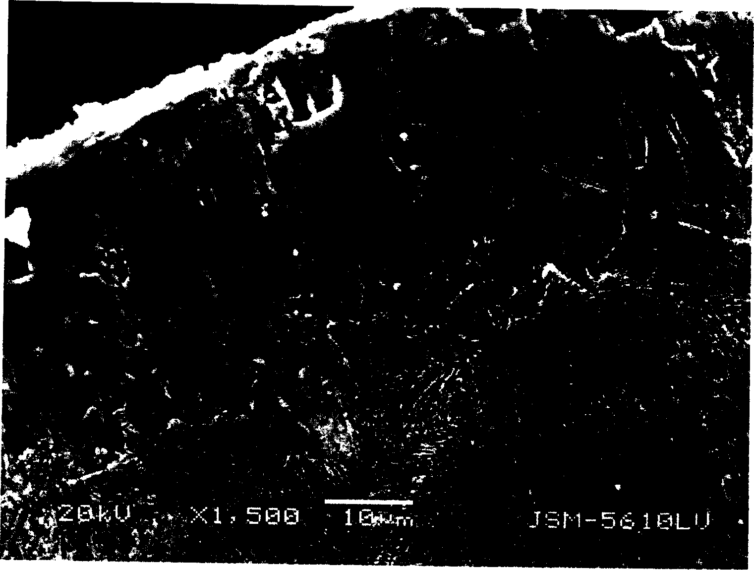 Quick preparation method of metal surface boronizing layer