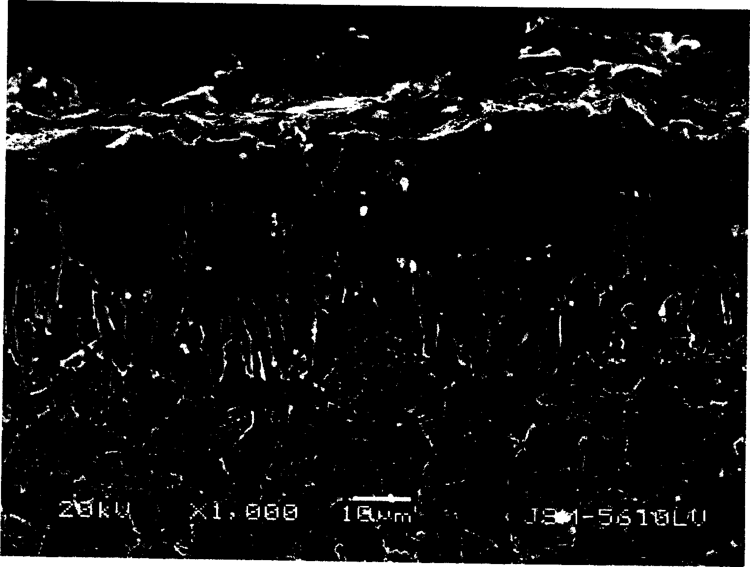 Quick preparation method of metal surface boronizing layer