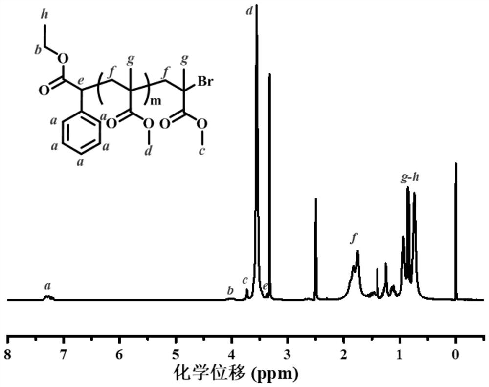 Template janus microspheres and preparation method thereof and ...