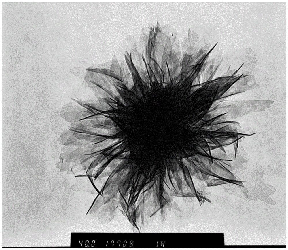 Antibacterial material and preparation and application thereof