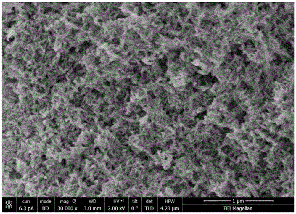 Antibacterial material and preparation and application thereof