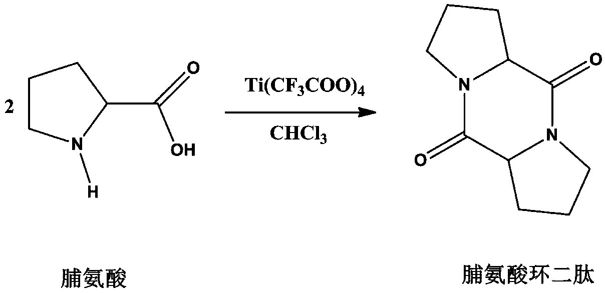 Catalyst used for synthesizing cyclic dipeptide in one step and application