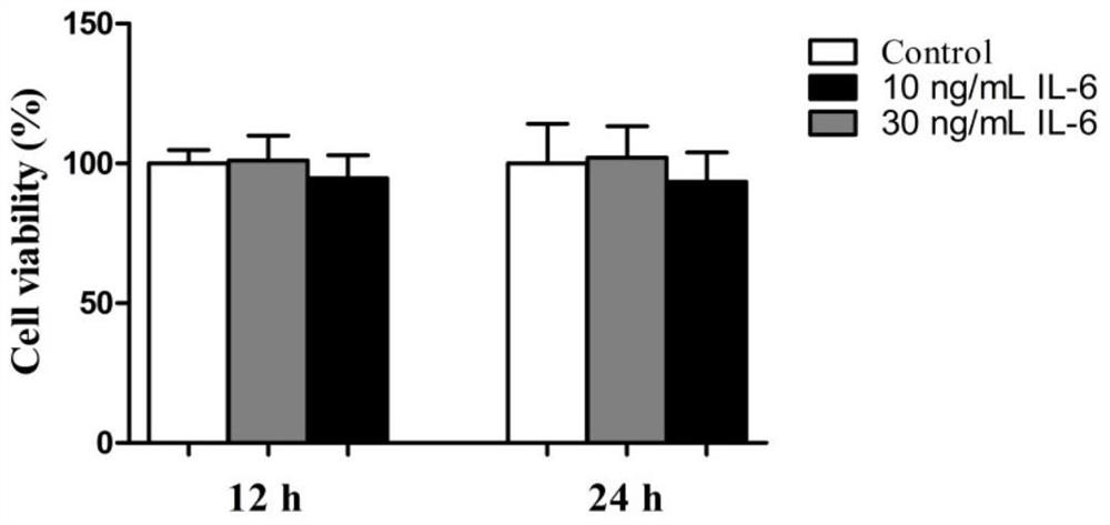 Application of nf-κb p65/HMGCS2 regulatory pathway in preparation of drugs regulating ketone body synthesis