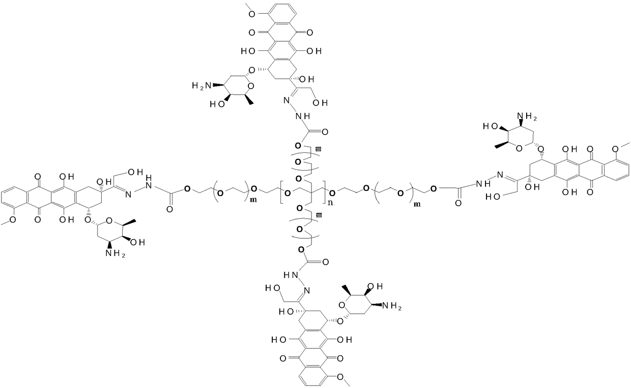 Multi-arm PEGylated (Polyethylene Glycolylated) azithromycin derivative and preparation thereof