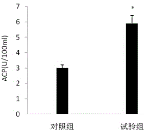 Microecological preparation used in prawn feeds and application thereof