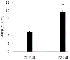 Microecological preparation used in prawn feeds and application thereof