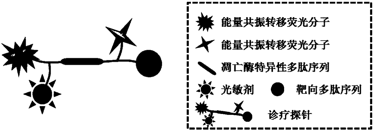 A fluorescent probe for tumor-targeted diagnosis and treatment