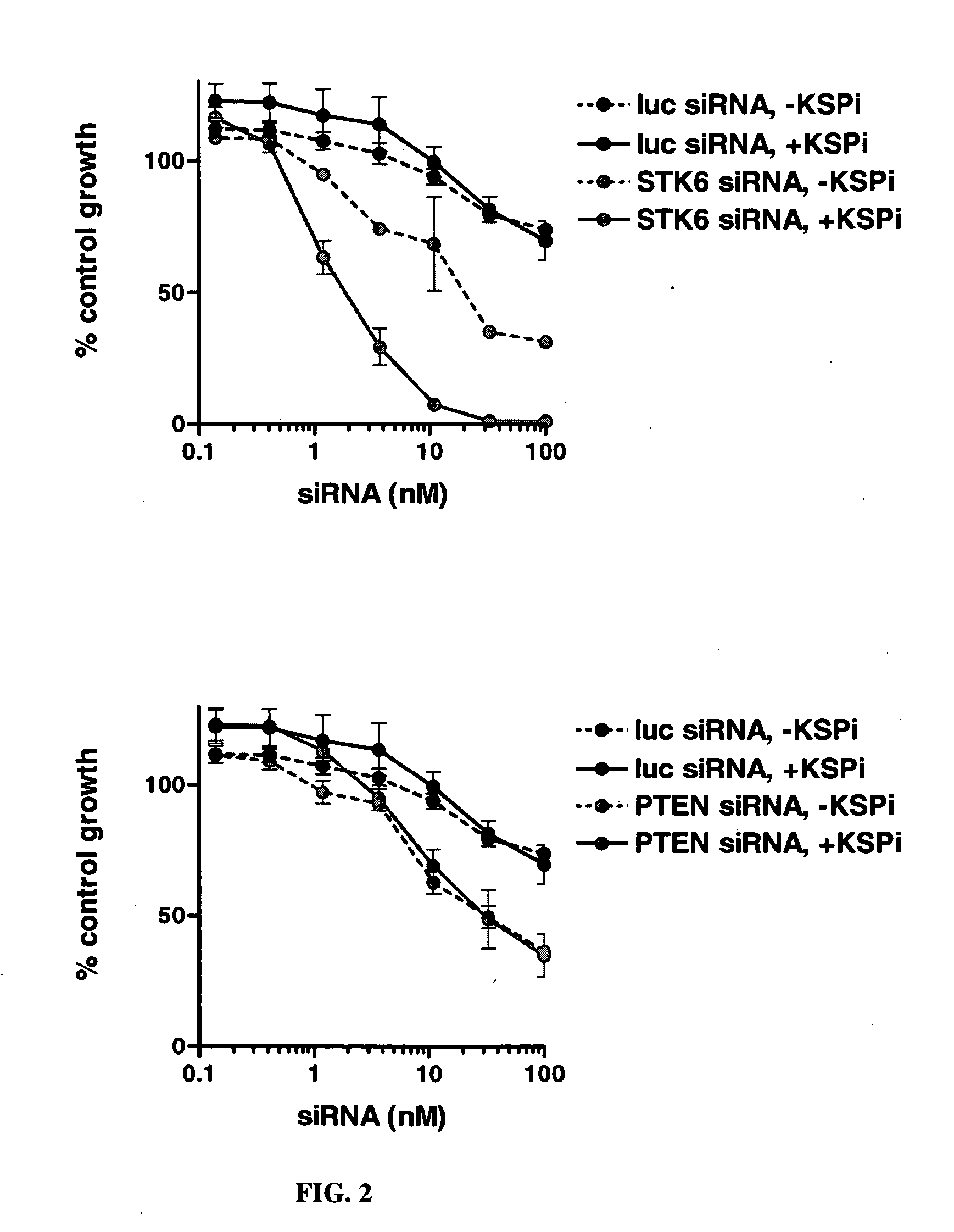 Synthetic lethal screen using RNA interference