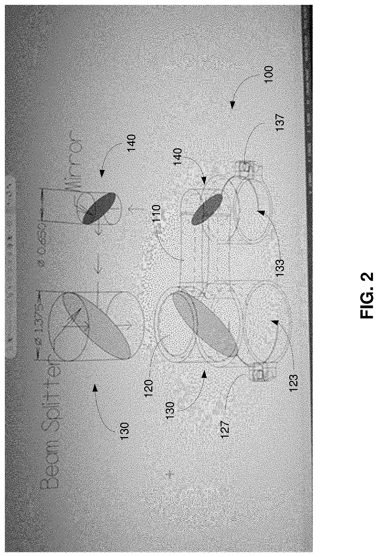 Camera mount system