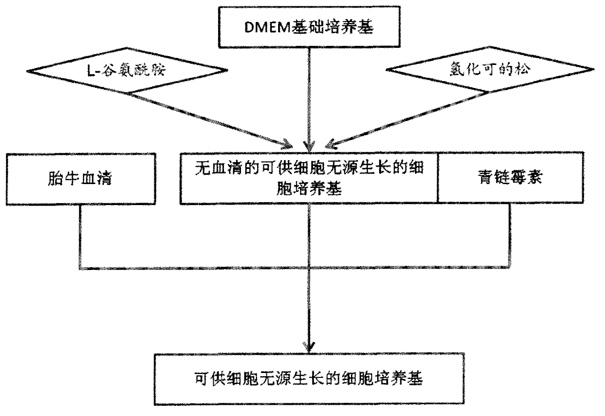 Cell culture medium for passive growth of cells and preparation method of cell culture medium