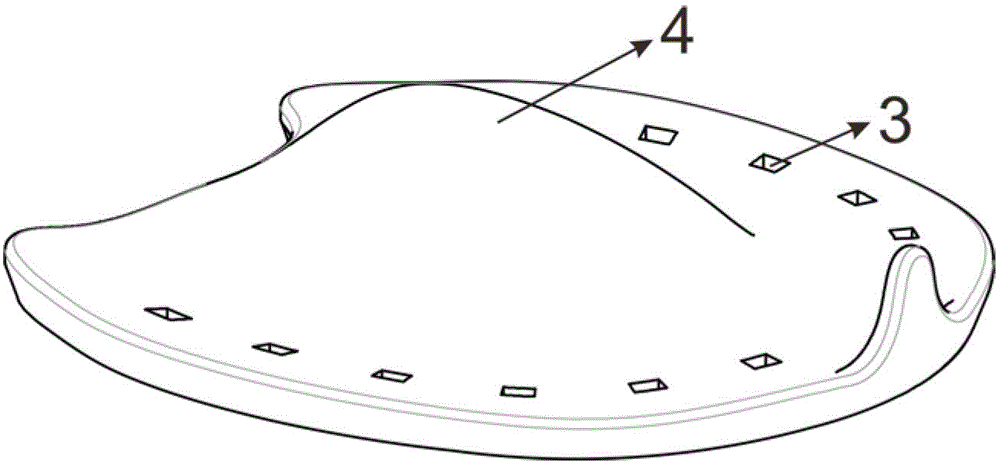 Horseshoe completely laminated with horse's hoof face and manufacturing method therefor