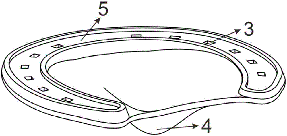 Horseshoe completely laminated with horse's hoof face and manufacturing method therefor