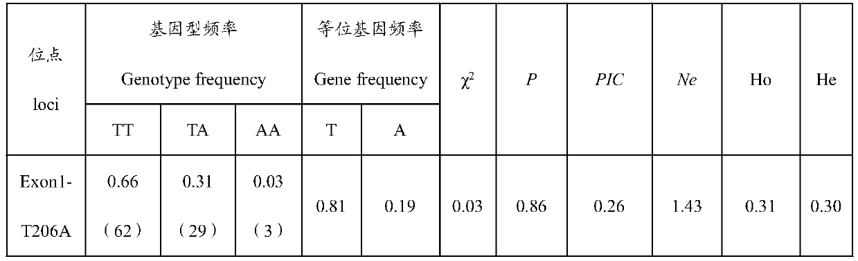 A method for detecting the fecundity of Alpine Merino sheep based on inha gene