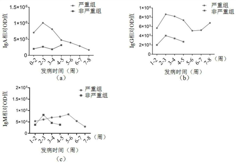 Application of specific iga in the preparation of kits for evaluating covid-19 disease risk, disease severity and prognosis assessment