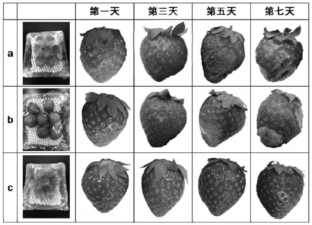 Plant extract-synthesized nano-silver multifunctional degradable food packaging material and preparation method thereof