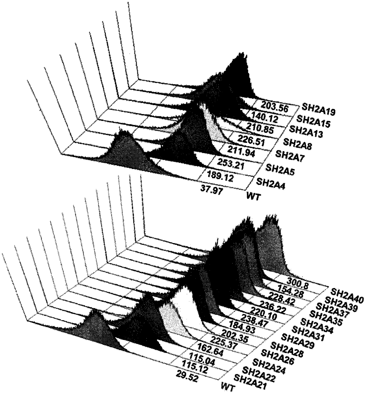 Fc-gamma receptor mutants