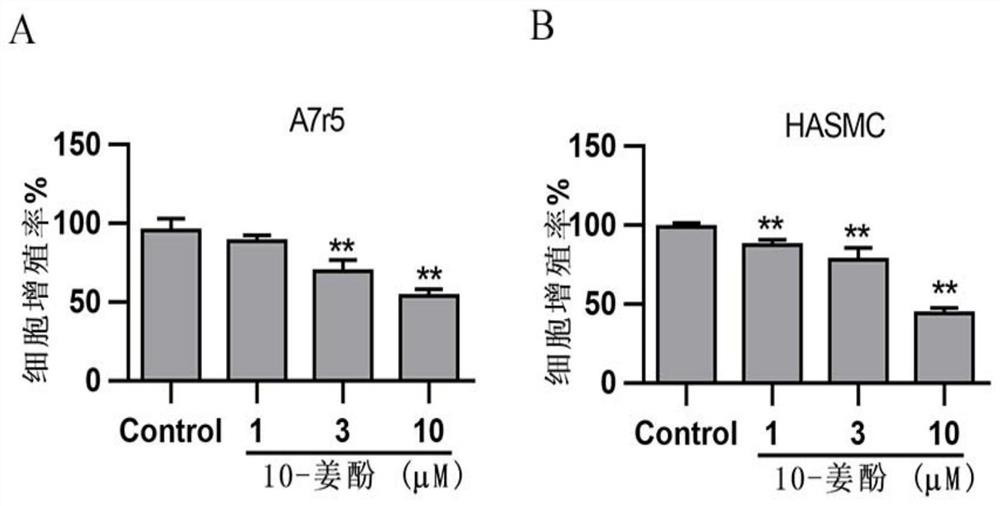 A kind of agonist of adenylate-activated protein kinase and its application