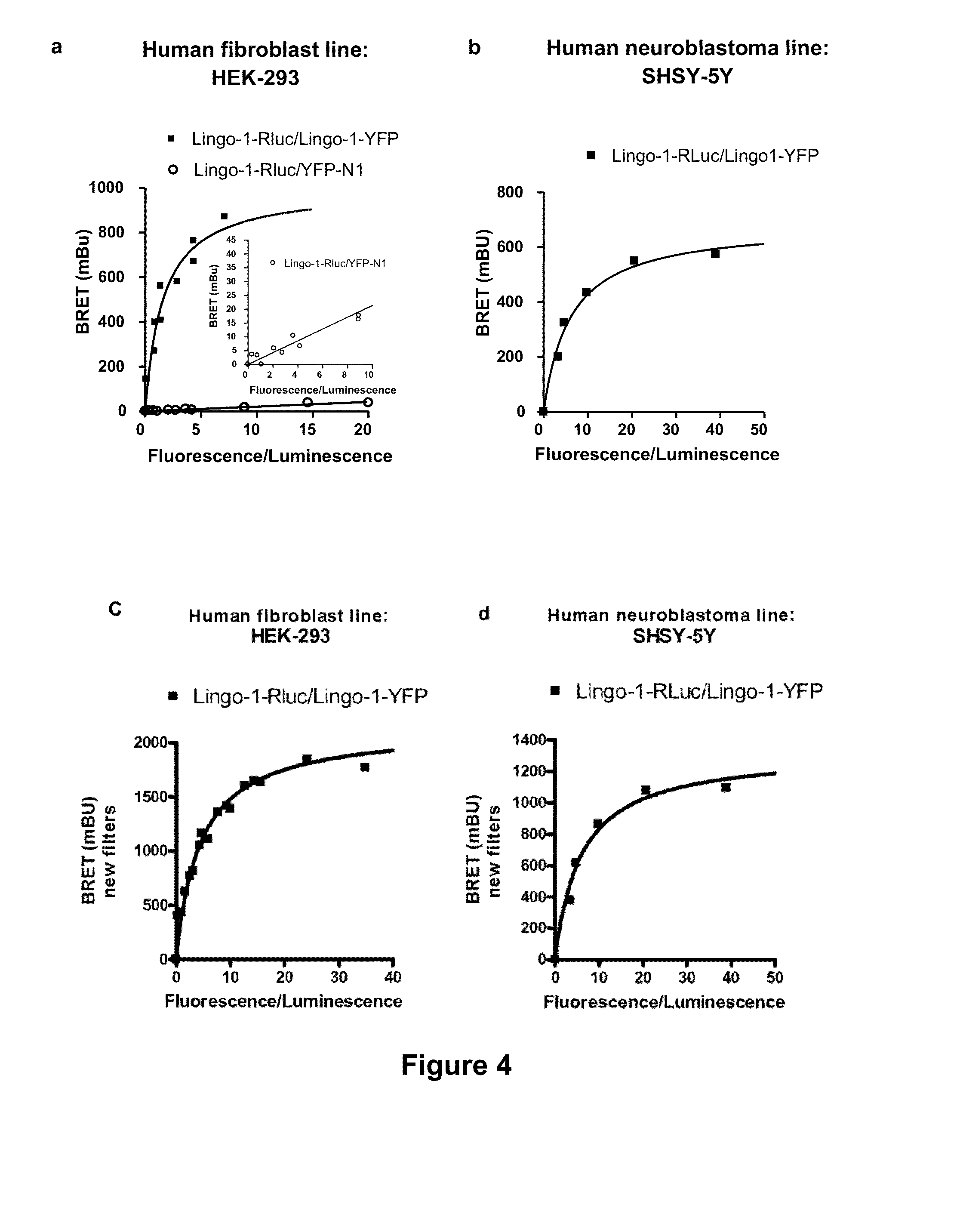 Tools for the identification of lingo-1, lingo-2, lingo-3 and lingo-4 ligands, and uses thereof