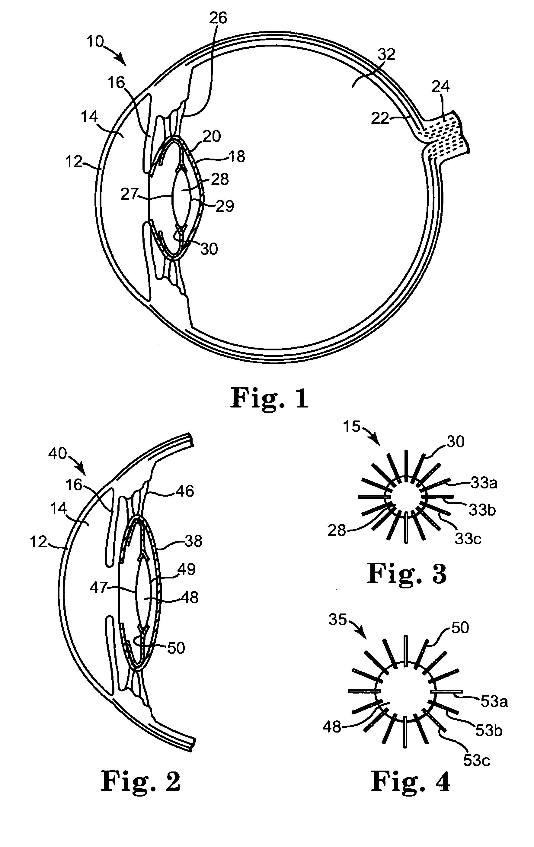 Haptic for accommodating intraocular lens