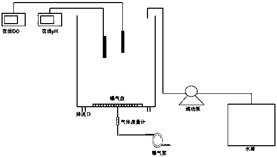 Rapid domestication and enrichment method of alkali-tolerant sulfur-oxidizing bacteria for biogas biodesulfurization