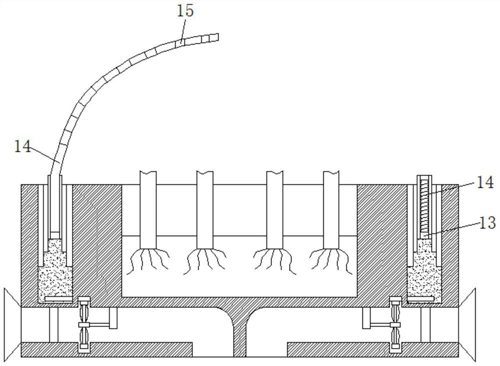 A vertical building wall plant wind shielding device