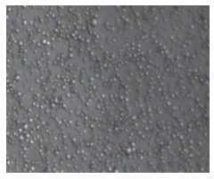 Method for preparing lignin urea-formaldehyde pesticide microcapsule