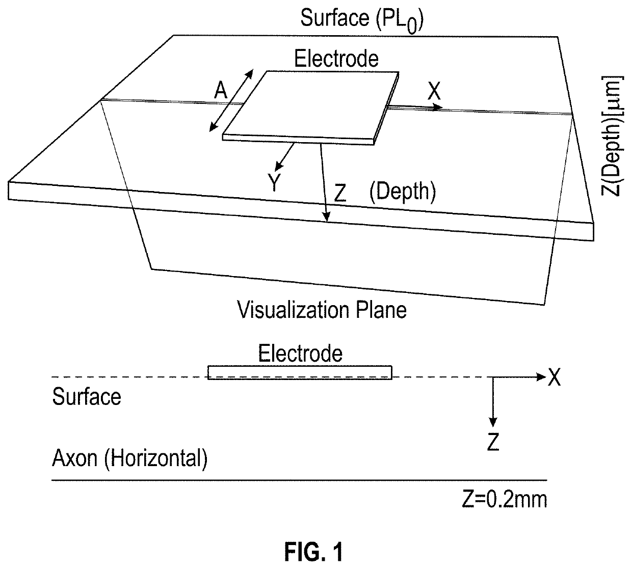 Apparatus and methods for estimating an electrical stimulation effect on cortical neurons