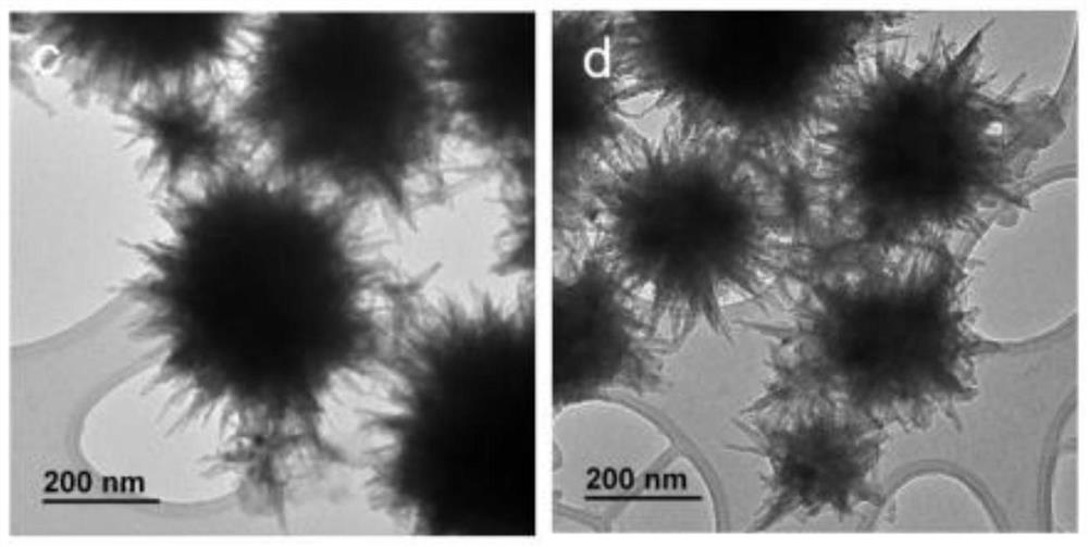 Preparation method of water-soluble fluorescent carbon quantum dots based on eggshell membrane