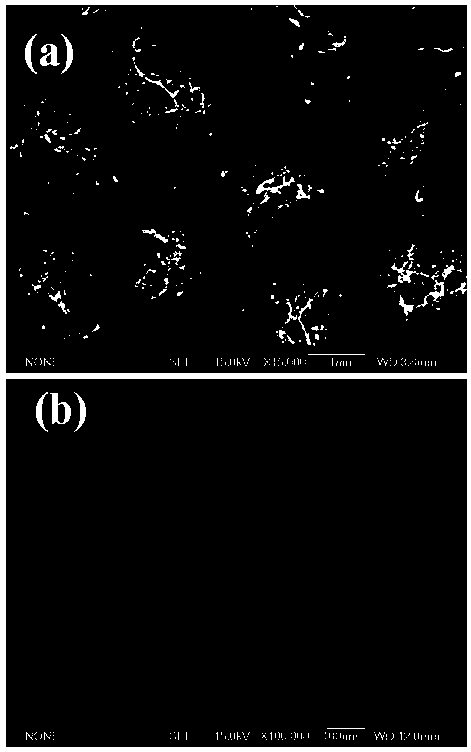 A method of preparation of the array -based activated film that enhances the light catalytic effect