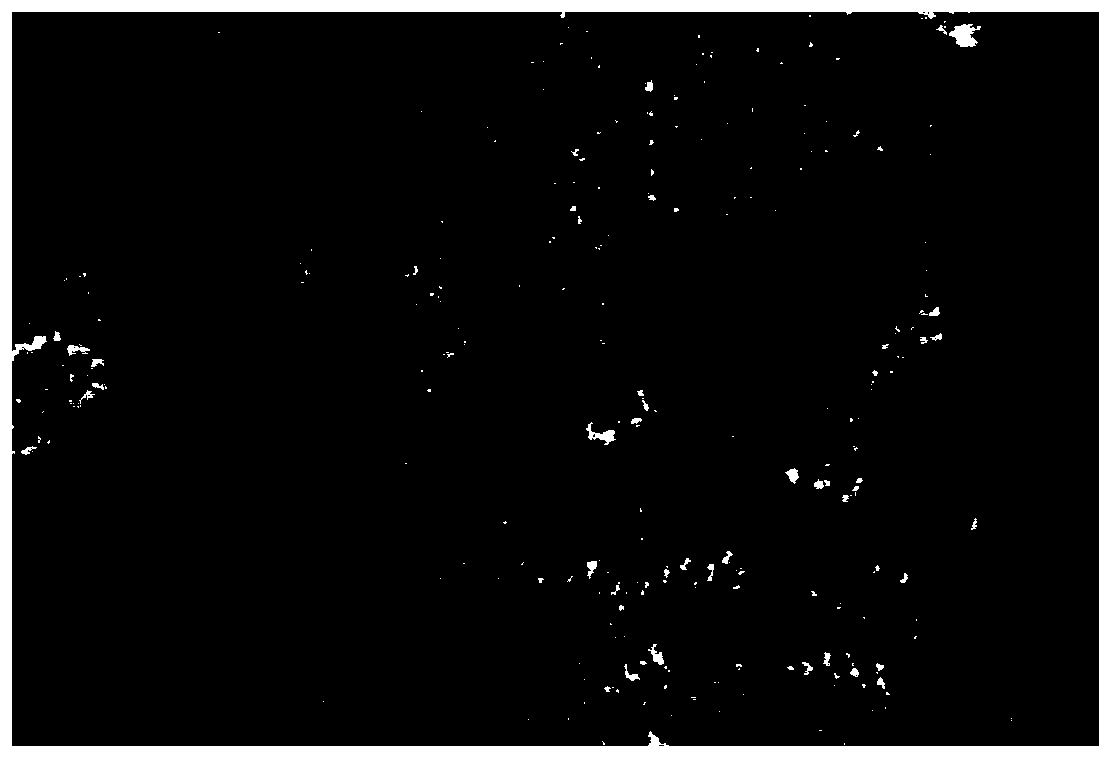 An Ag-induced anti-opal tio  <sub>2</sub> Preparation method of homojunction photocatalyst