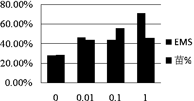 Somatic embryogenesis method for cunninghamia lanceolata