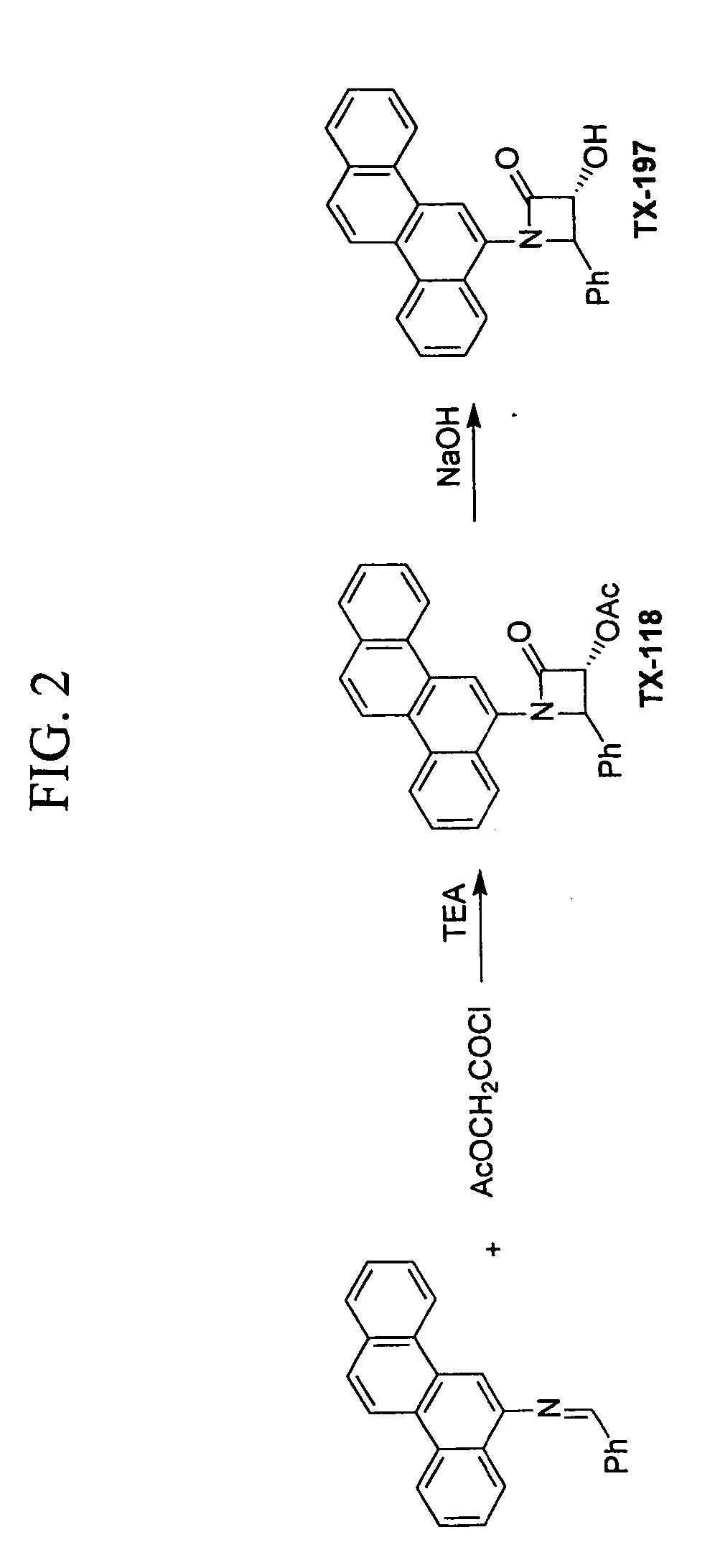 Antimicrobial and antiviral compounds