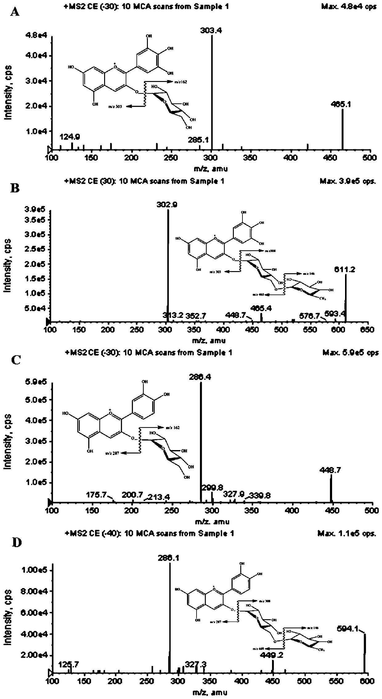 A method for extracting, separating and purifying four main anthocyanins from blackcurrant pomace