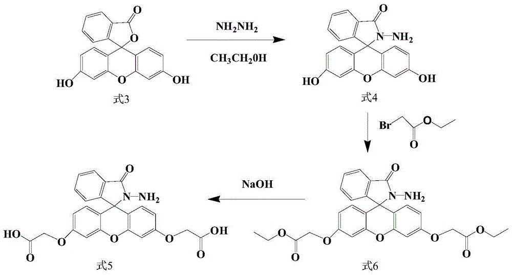 Fluorescein hydrazide derivatives, preparation method of fluorescein hydrazide derivatives, modified TiO2 functional material, preparation method of modified TiO2 functional material, and sensor