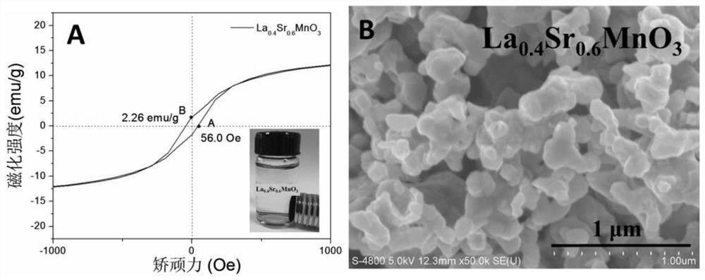 A magnetic separation catalytic device for eliminating hydrogen peroxide and its application