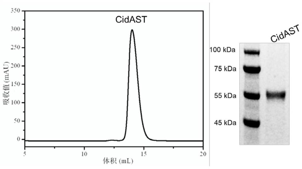 Cytoplasm incompatibility factor CifA or CifB mutant gene and protein