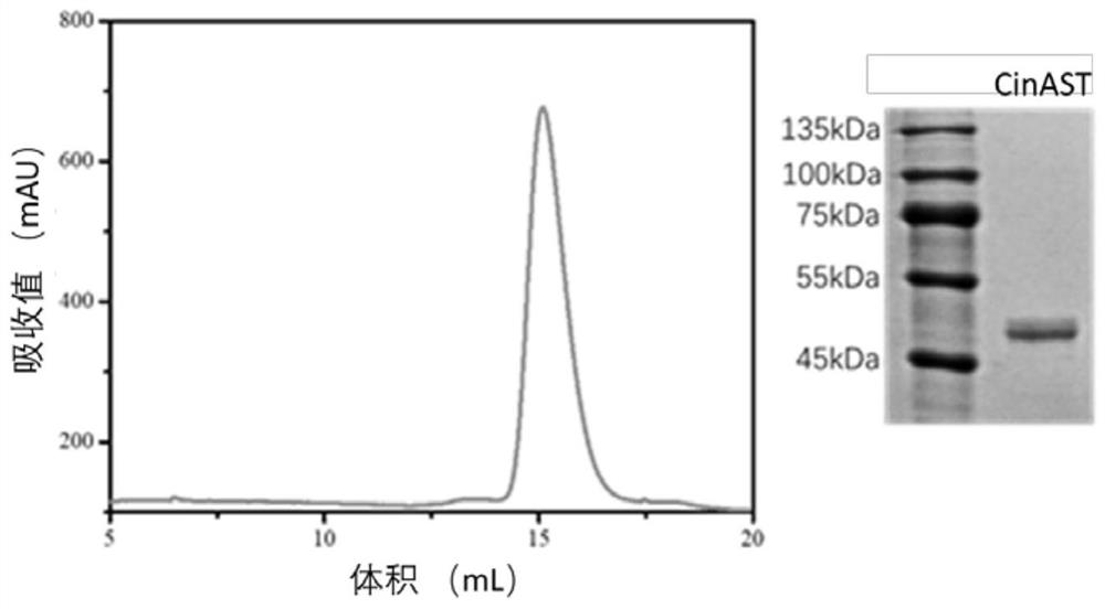 Cytoplasm incompatibility factor CifA or CifB mutant gene and protein