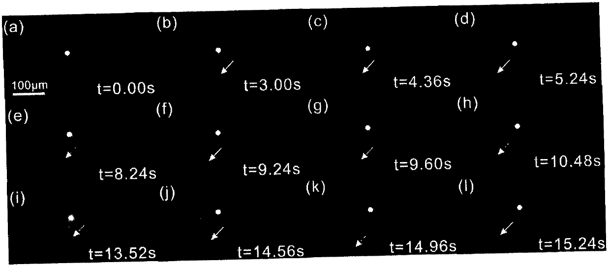 Continuous photoinduction micro-droplet generation and transfer method based on polymethyl methacrylate and C-cut lithium niobate crystal interlayer chip